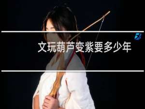 文玩葫芦变紫要多少年
