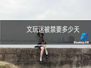 文玩迷被禁要多少天