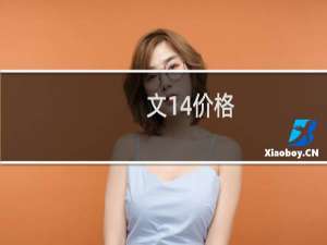 文14价格