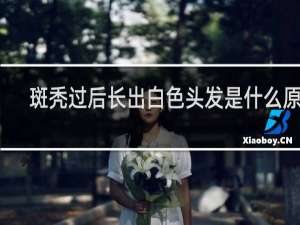 斑秃过后长出白色头发是什么原因