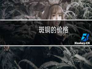 斑铜的价格