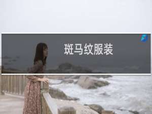 斑马纹服装(关于斑马纹服装的简介)