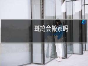 斑鸠会搬家吗