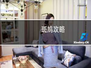 斑鸠攻略