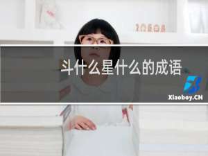 斗什么星什么的成语