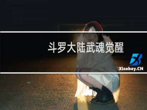 斗罗大陆武魂觉醒