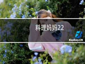 料理妈妈22(关于料理妈妈22的简介)