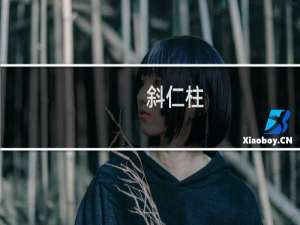 斜仁柱(关于斜仁柱的简介)
