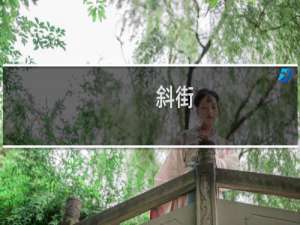 斜街(关于斜街的简介)
