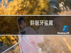斜锯牙鲨属(关于斜锯牙鲨属的简介)