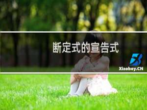 断定式的宣告式(关于断定式的宣告式的简介)