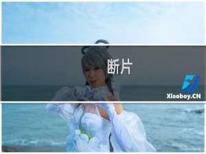 断片(关于断片的简介)
