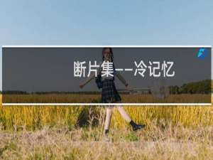 断片集――冷记忆：1991～1995(关于断片集――冷记忆：1991～1995的简介)