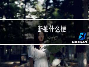 断袖什么梗