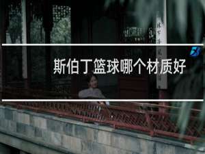 斯伯丁篮球哪个材质好