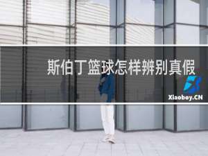 斯伯丁篮球怎样辨别真假