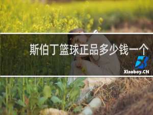 斯伯丁篮球正品多少钱一个