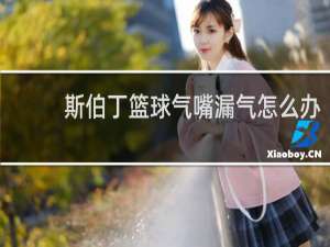 斯伯丁篮球气嘴漏气怎么办