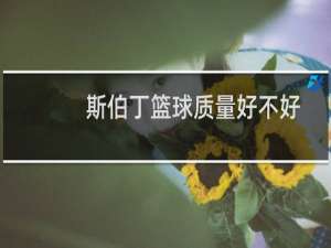 斯伯丁篮球质量好不好