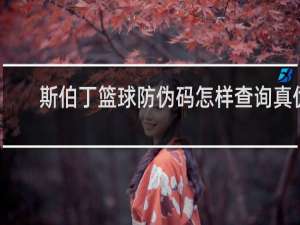 斯伯丁篮球防伪码怎样查询真伪