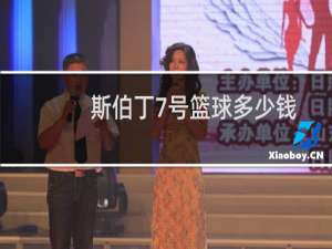 斯伯丁7号篮球多少钱