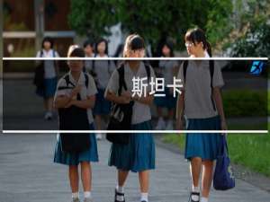 斯坦卡(关于斯坦卡的简介)