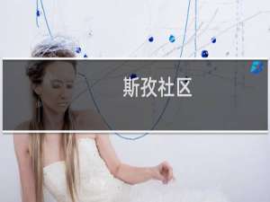 斯孜社区(关于斯孜社区的简介)