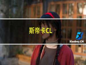 斯帝卡CL(关于斯帝卡CL的简介)