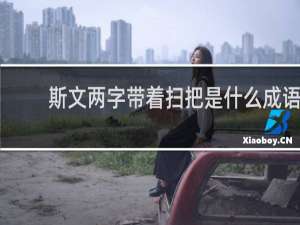 斯文两字带着扫把是什么成语