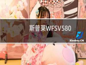 斯普莱WFSV5802C-WS(关于斯普莱WFSV5802C-WS的简介)