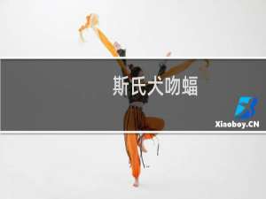 斯氏犬吻蝠(关于斯氏犬吻蝠的简介)