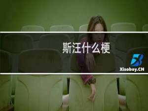 斯汪什么梗