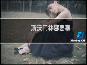 斯沃门林娜要塞(关于斯沃门林娜要塞的简介)