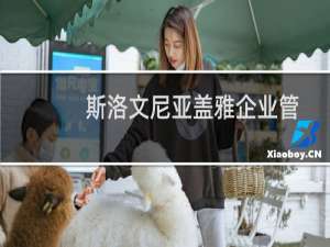 斯洛文尼亚盖雅企业管理学院(关于斯洛文尼亚盖雅企业管理学院的简介)