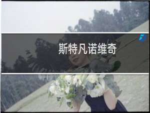 斯特凡诺维奇(关于斯特凡诺维奇的简介)