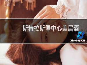 斯特拉斯堡中心美居酒店(关于斯特拉斯堡中心美居酒店的简介)