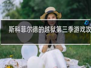 斯科菲尔德的越狱第三季游戏攻略