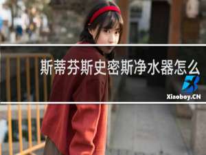 斯蒂芬斯史密斯净水器怎么