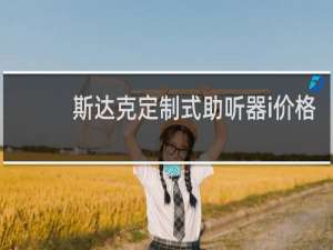 斯达克定制式助听器i价格