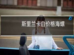 斯里兰卡白价格海螺