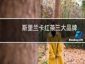 斯里兰卡红茶三大品牌