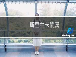 斯里兰卡鼠属(关于斯里兰卡鼠属的简介)