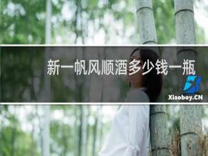 新一帆风顺酒多少钱一瓶