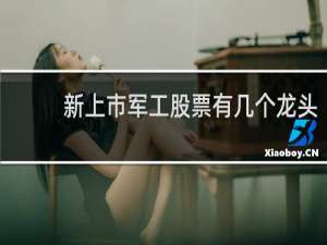 新上市军工股票有几个龙头