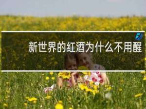 新世界的红酒为什么不用醒