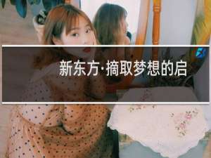 新东方·摘取梦想的启明星(关于新东方·摘取梦想的启明星的简介)