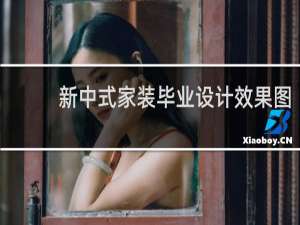 新中式家装毕业设计效果图