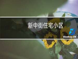 新中街住宅小区(关于新中街住宅小区的简介)