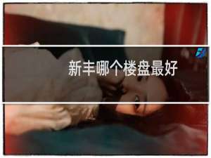 新丰哪个楼盘最好