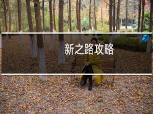 新之路攻略